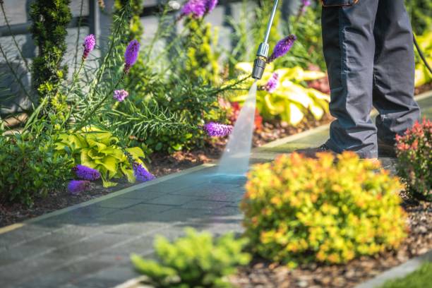Professional Pressure Washing Services in Ellendale, ND
